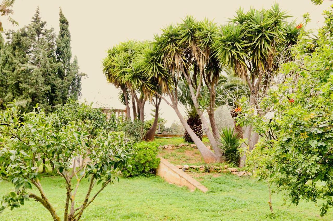 Finca Randa, Llucmayor, Bis 3 Sz, Pool, Garten Llucmajor  Eksteriør billede