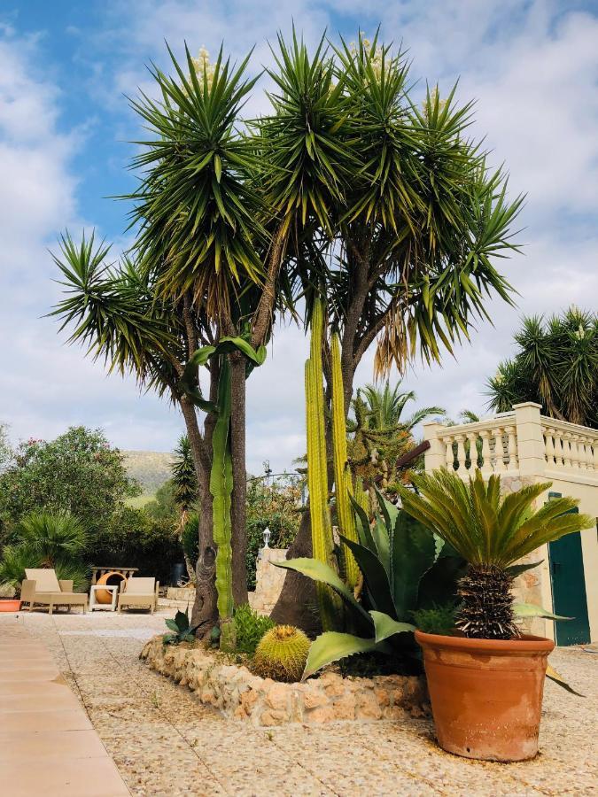 Finca Randa, Llucmayor, Bis 3 Sz, Pool, Garten Llucmajor  Eksteriør billede