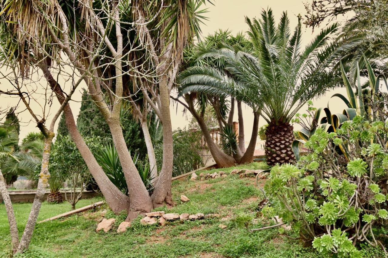 Finca Randa, Llucmayor, Bis 3 Sz, Pool, Garten Llucmajor  Eksteriør billede