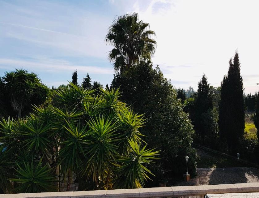 Finca Randa, Llucmayor, Bis 3 Sz, Pool, Garten Llucmajor  Eksteriør billede